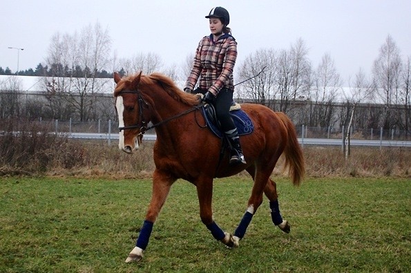 Z Rudolfina ;D