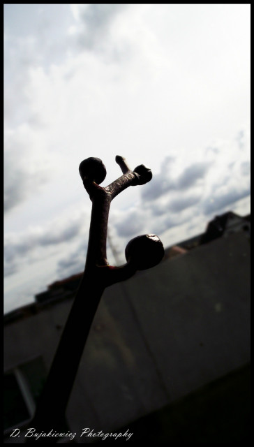 Dream of sky. 