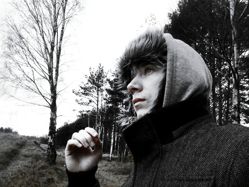 Dark Gray Forest..