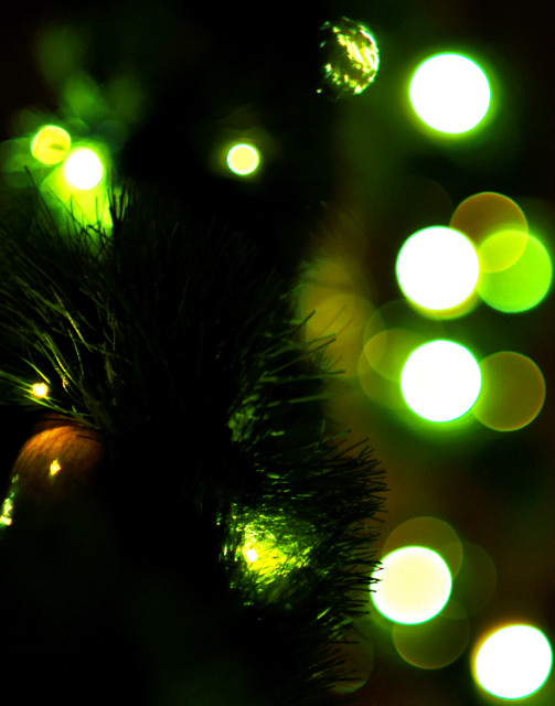Merry Christmas & HNY