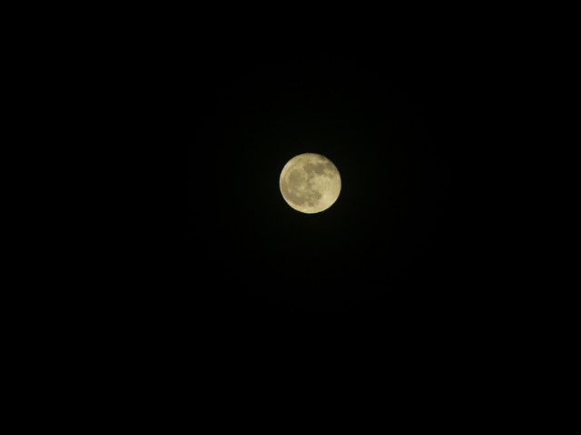 the light behind your eyes ~