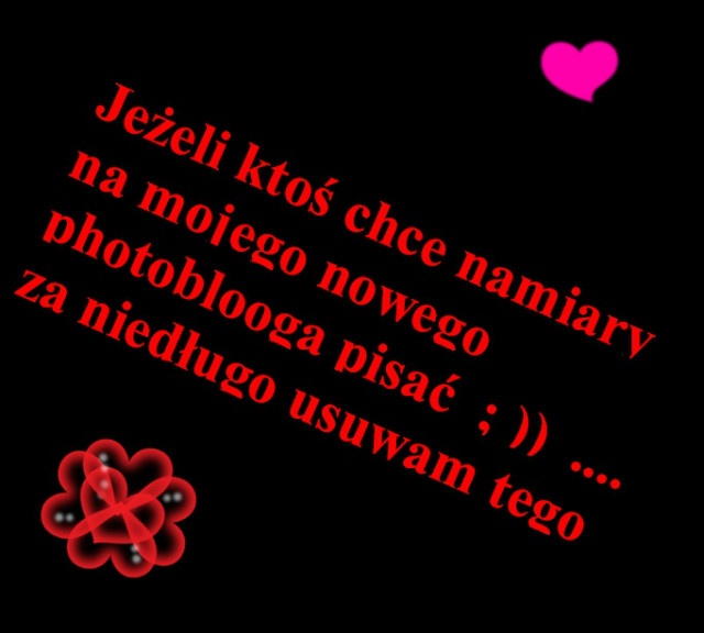 Wpis najaranaxmarzeniamix3
