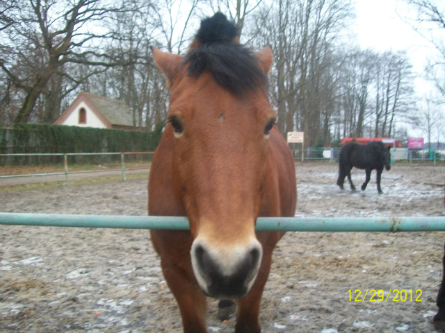 Kubisiulek ;D