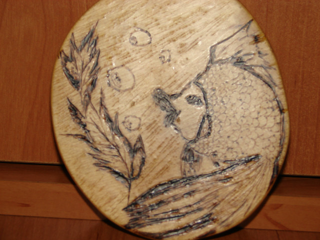 zota rybka