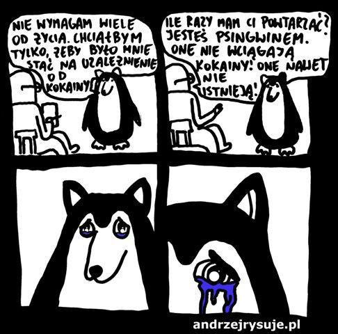 Wpis nimfetka