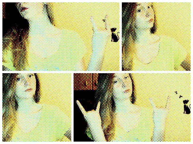 Wpis fesme