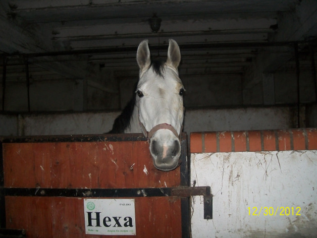 Hexiiczek ;DD