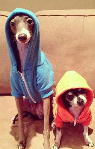 snoop dogg'i