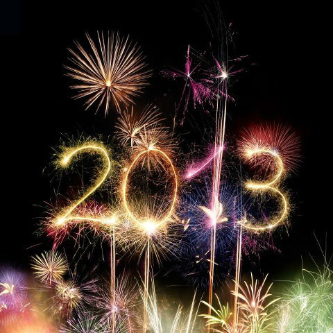 HAPPY NEW YEAR BITCHES!!!