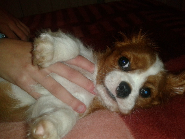 Leila *.*