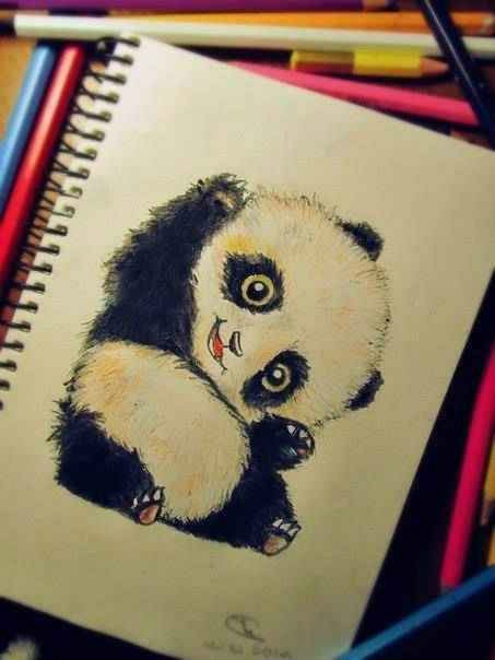 Pandaaa 