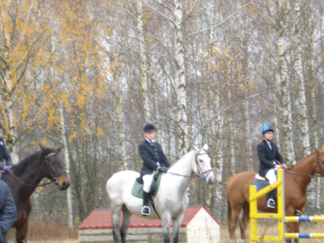 Dekoracja na Derbach2012