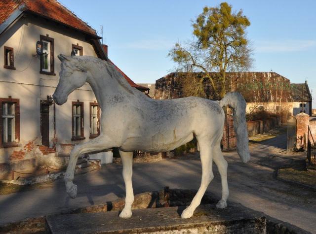 rzeba w stadninie koni