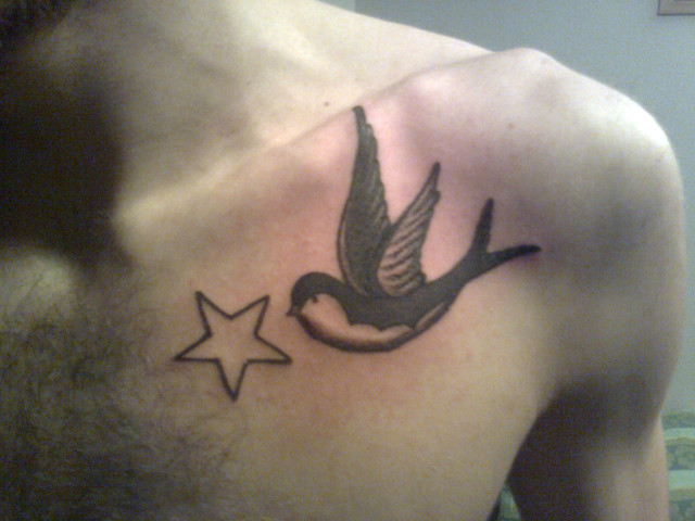 star & swallow