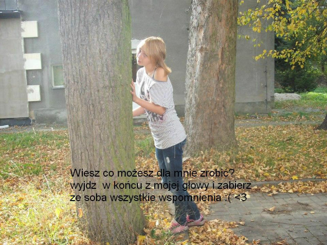 Wpis nikolus1234