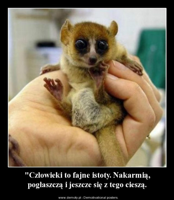 Ale jestemy.....