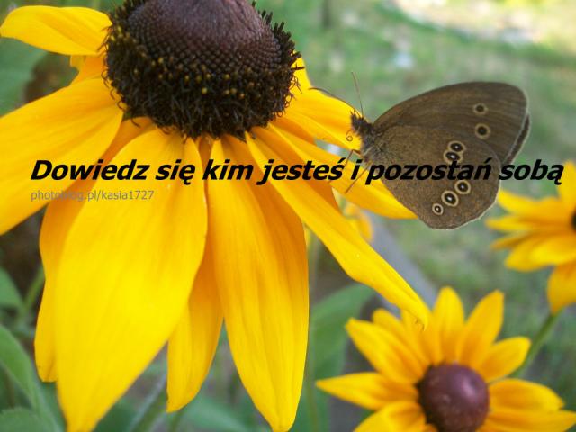 potrzebuje wsparcia ...