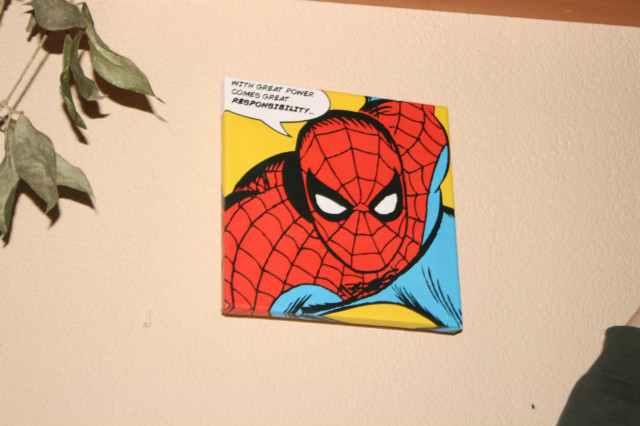 Spiderman.