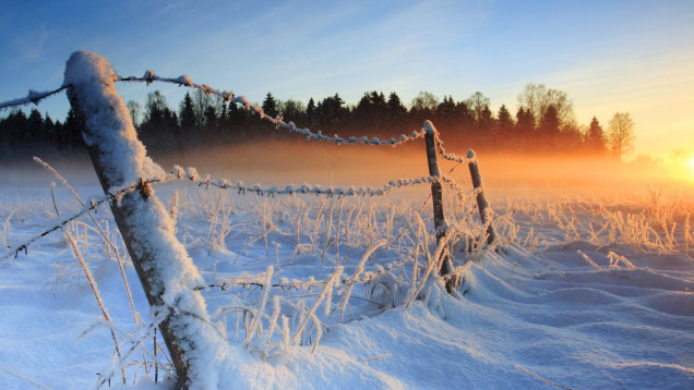 I want snow!