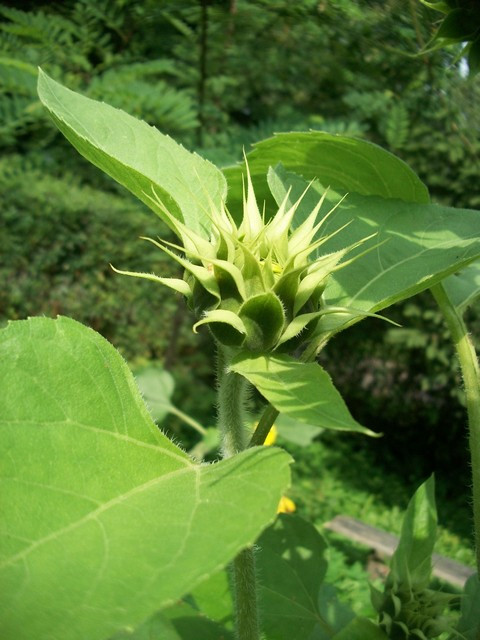 30