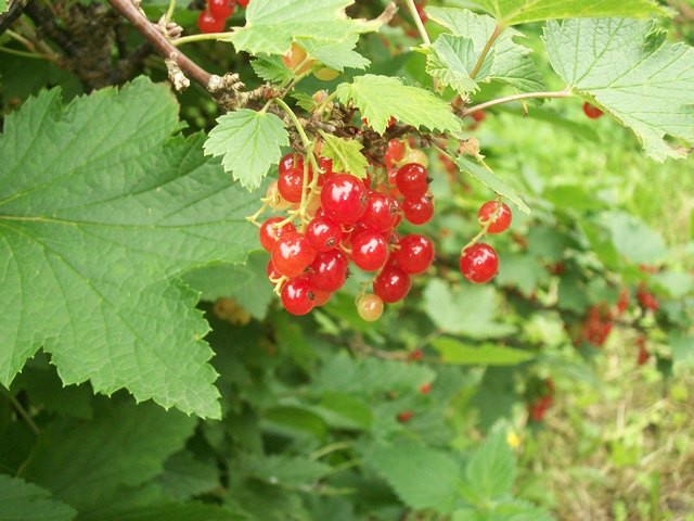 37