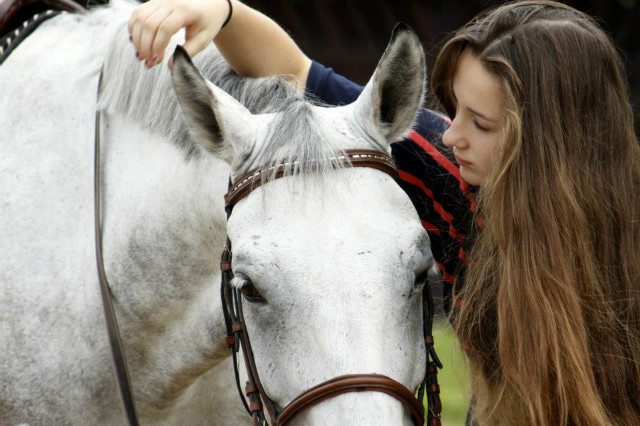 Wpis equidore