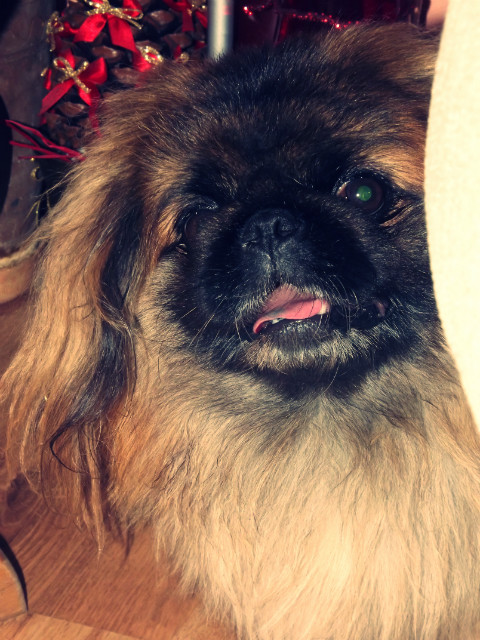 x.Fido.x