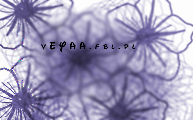 Wpis veyaa