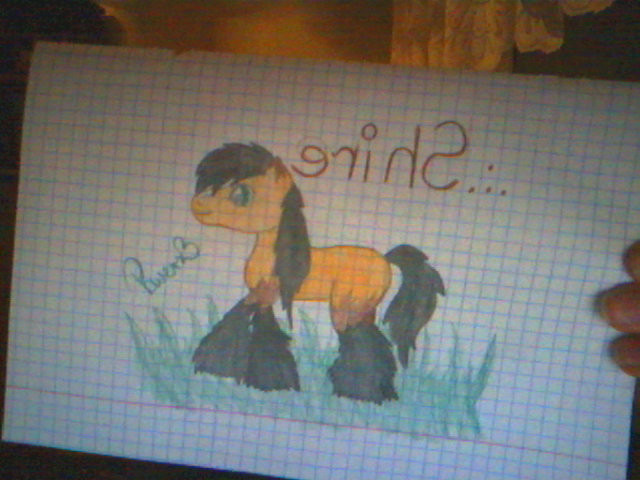 Rys. 3 . *-*