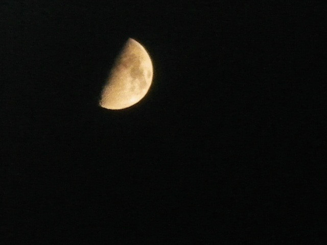 87