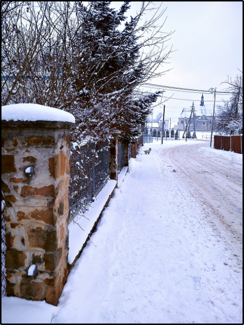Winter wrap up