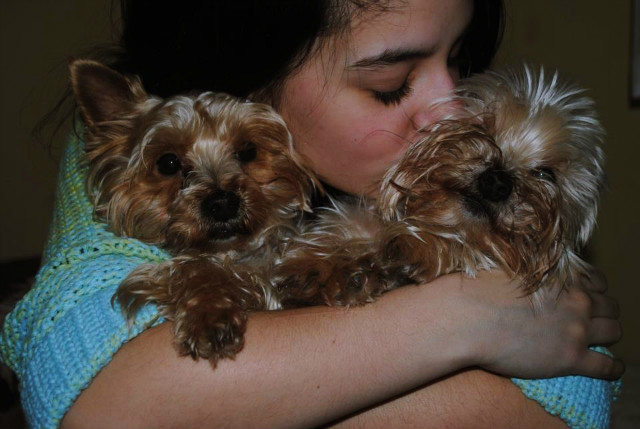 Wpis cookiemonstersx3