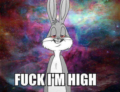 Fuck I'm high