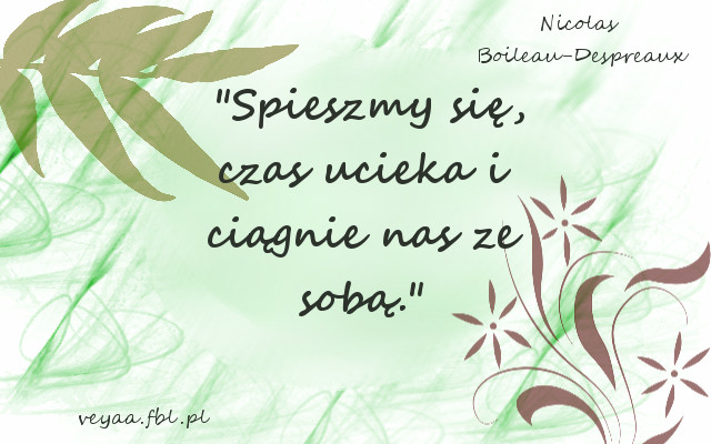 Wpis veyaa