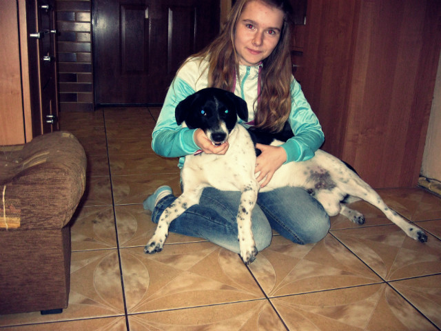 z p.Dingo ;)