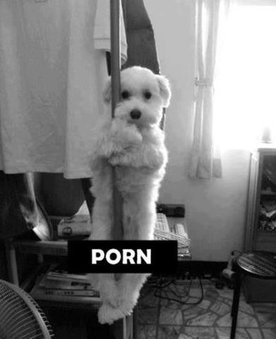 porn