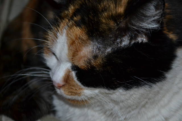 Kito;)