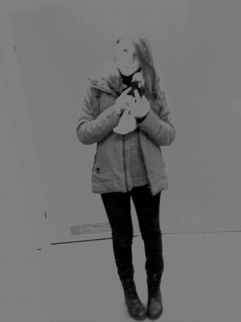 Wpis sagowa