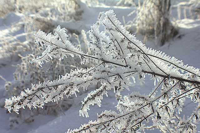 winter