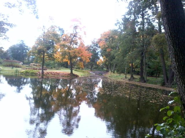 Stawek