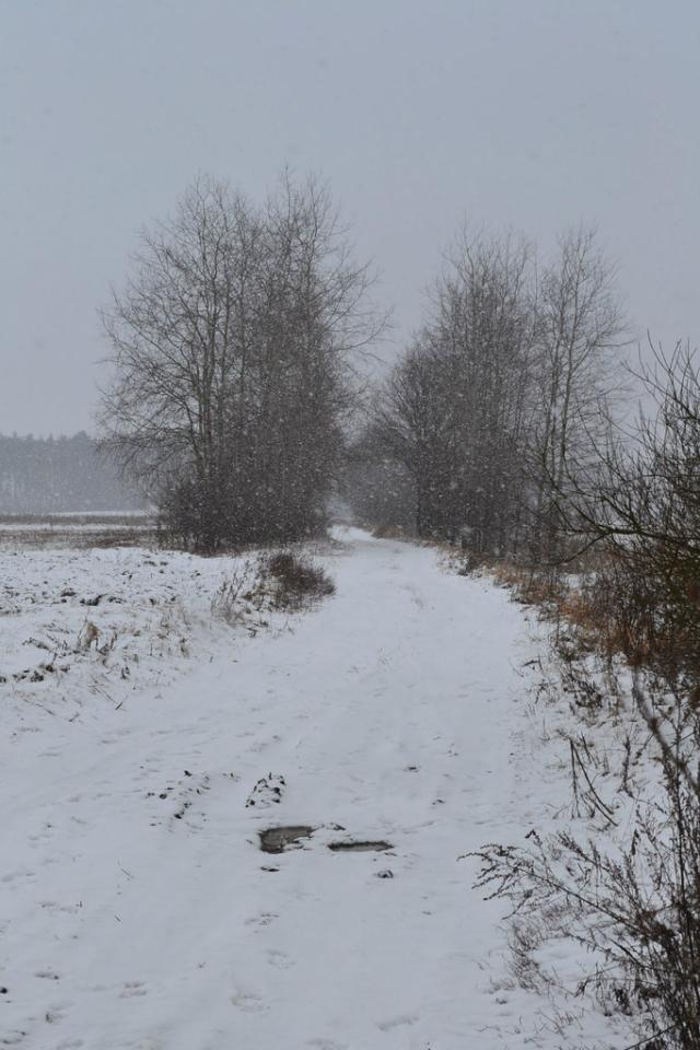 Wpis mojdebilek