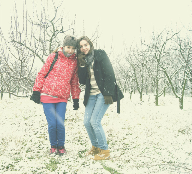 Wpis mouseandbear