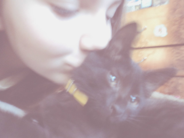 Wpis absolutliebe