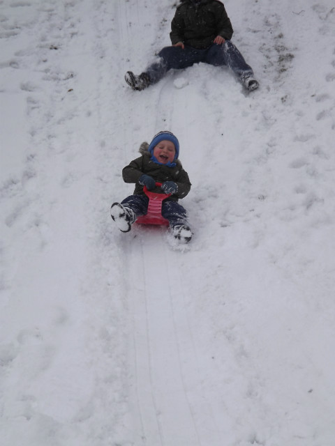 nieg