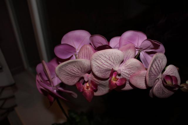 Macro foto...
