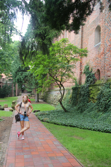 malbork.