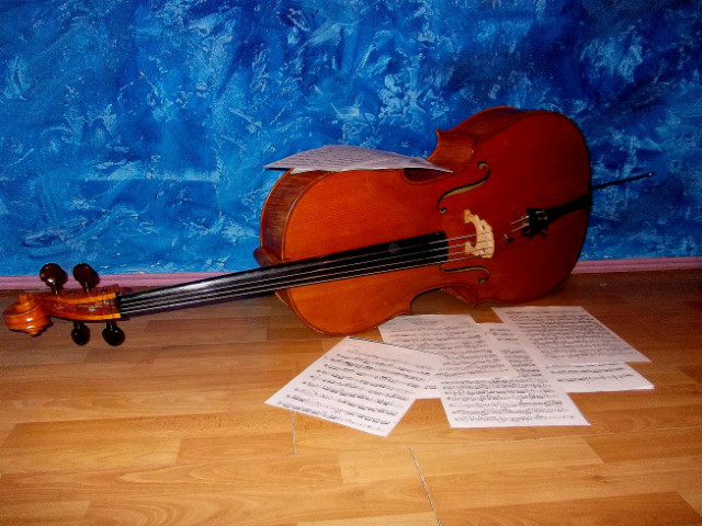 Wpis cellos