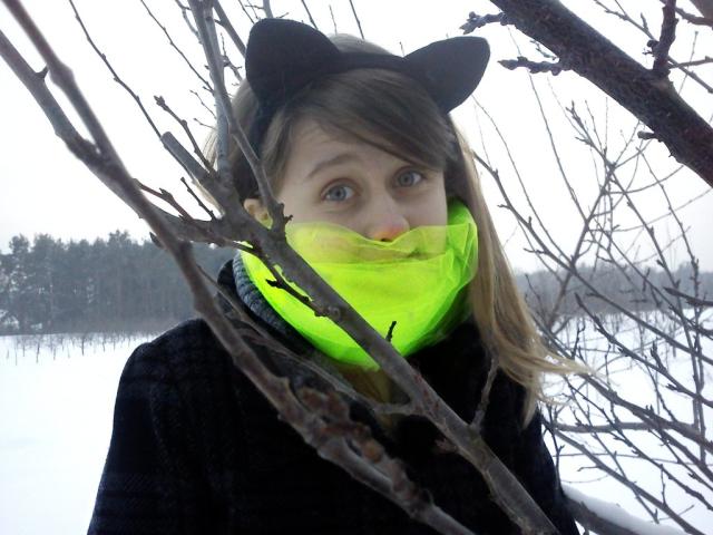 Kotecek