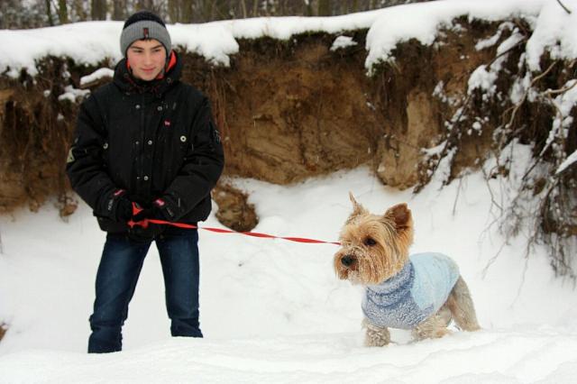 Wpis winterlife