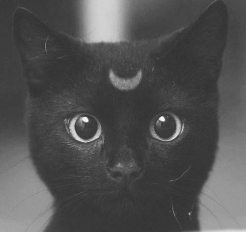 Grrr.
